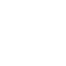 Roman Numerals Converter